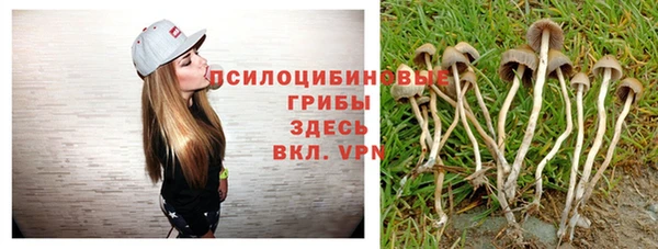 МДПВ Алексин